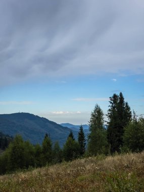 Mavi gökyüzü olan bir dağın tepesindeki ağaçların dikey görüntüsü