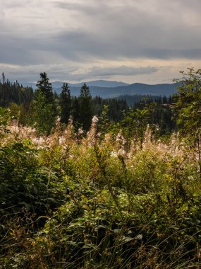 Dağların güzel manzarası