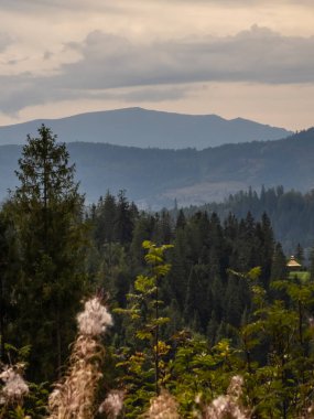Dağ büyük Thach doğal park