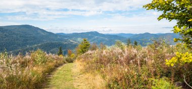 Karpat Dağları 'ndaki güzel dağ manzarası, sonbahar mevsimi.