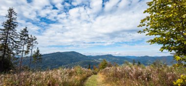 Bir dağ manzarasının güzel bir görüntüsü