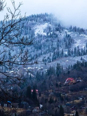 Ağaçlar ve dağlarla kaplı kış manzarası
