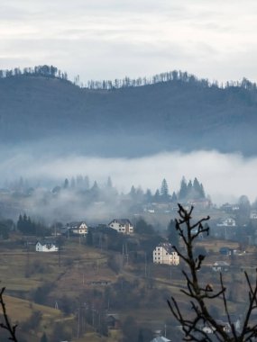 Dağlarda sisli bir sabah