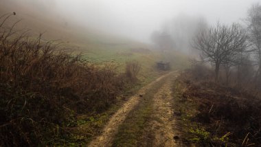 Sisli bir sabahta bir yol