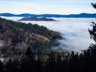 beautiful foggy morning in the carpathians.
