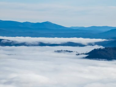 Karpatların güzel manzarası, Ukrayna. Karpatlar.
