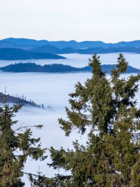 Doğanın güzel manzarası