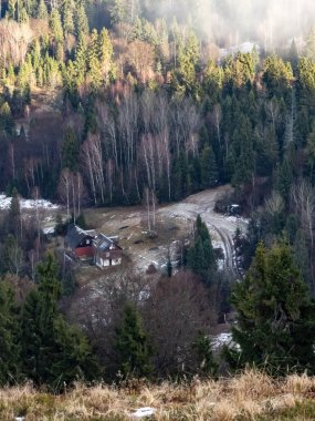 Tepelerle çevrili karlı bir ormanın güzel bir görüntüsü.