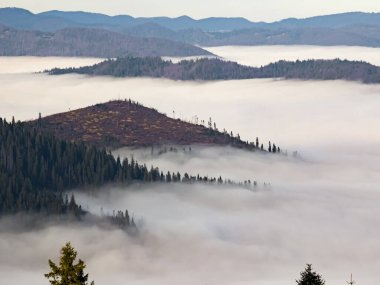 Güzel sisli bir sabah manzarası