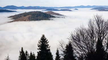Dağlarda sisli bir sabah