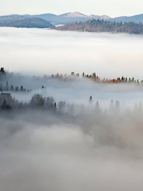 Karpat dağlarında sisli bir sabah.