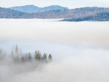 Sisli sonbahar sabahı sisli