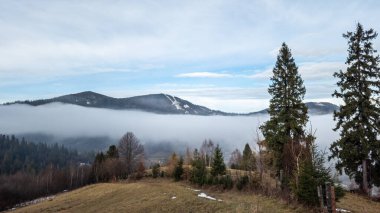 Ukrayna 'daki Karpatların güzel kış manzarası