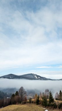 Güzel kar manzaralı kış manzarası