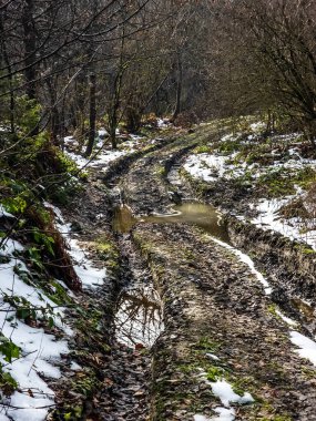 Karlı bir yolda, üzerinde orman olan dikey bir manzara.