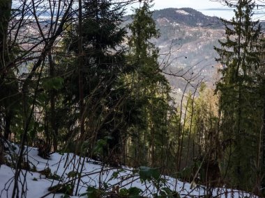 Karpat Dağları 'ndaki güzel kış manzarası, Ukrayna
