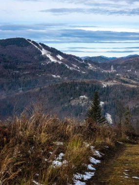 Kışın ormanlı güzel dağ manzarası