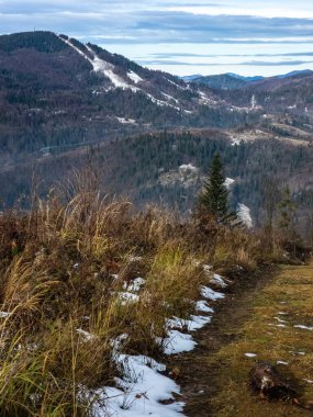 Dağların zirvesi ve ağaçları olan kış manzarası
