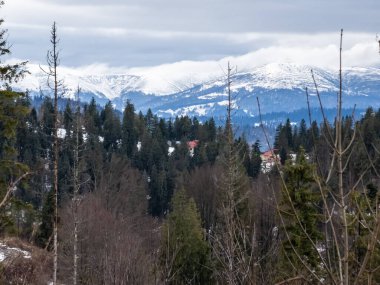 Karpatlar kış manzarası