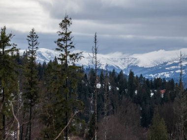 Kış manzara dağlar ile taze karla kaplı