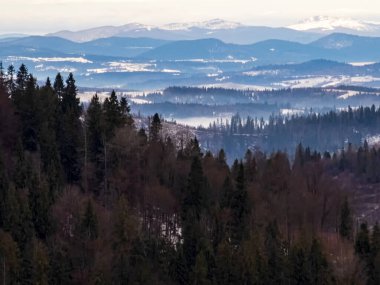 Kış dağı manzarası. Karpat Dağları, Romanya