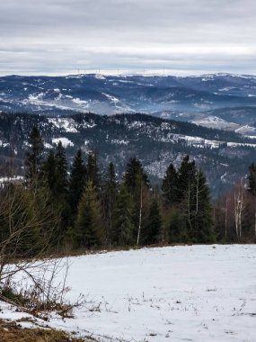 Karla kaplı ağaçlarla kaplı güzel kış manzarası