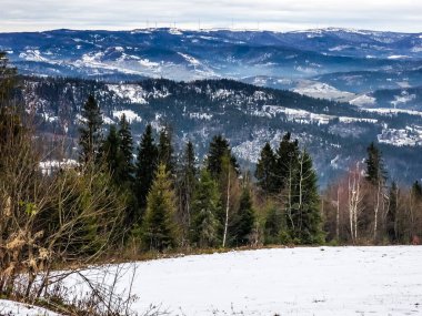 Karpat Dağları 'ndaki kış manzarası.