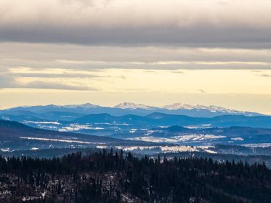 Ukrayna 'daki Karpatlar' ın kış manzarası.