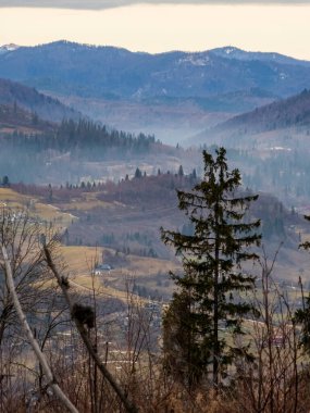 Dağları ve ağaçları olan güzel bir manzara.