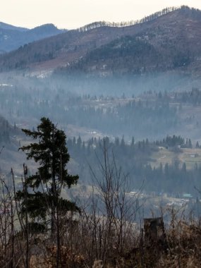 Dağlarda sonbahar. Karpat Dağları