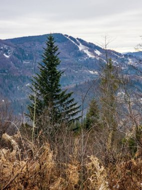 Karpatlar 'daki Karpatlar' ın dağlarında kış