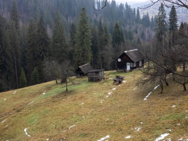 Dağlarda, Karpatlar 'da bir çayırda ahşap bir ev.