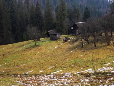 Karpatlar 'da sonbahar, Ukrayna.