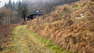 Güzel manzara. doğa arkaplanı