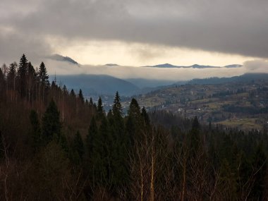 Güzel dağ manzarası ile sis