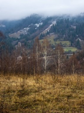 Dağlar ve ağaçlarla kaplı kış manzarası