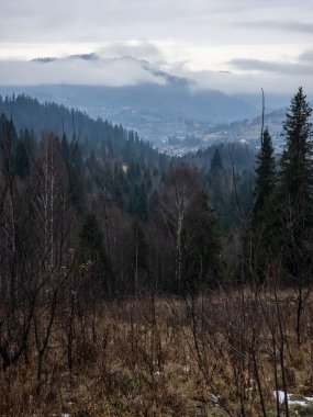 Karla kaplı ağaçlarla kaplı kış manzarası