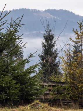 Karpat dağlarında sonbahar