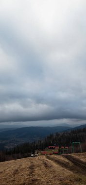 Güzel kış ormanı manzarası