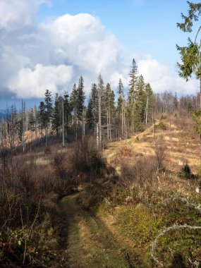 Sonbahar ormanındaki bir dağın güzel manzarası