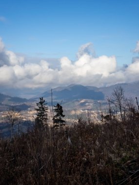 Karpatlar 'daki güzel sonbahar dağ manzarası