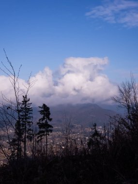 Dağlarda bir ağacı olan güzel bir manzara.