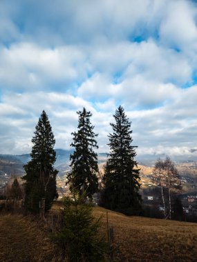 Güzel bulutlu bir gökyüzünün altındaki bir ağacın dikey görüntüsü.