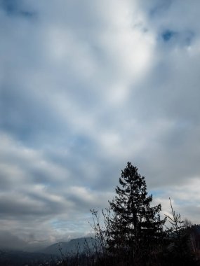 Karlı güzel kış manzarası