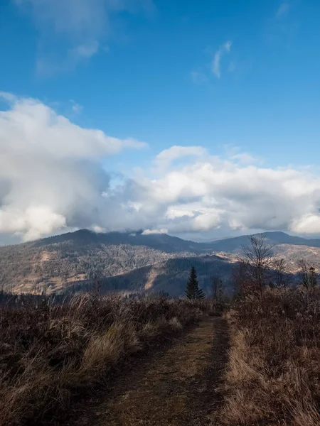 Karpatya dağlarındaki bir dağ yolunun dikey fotoğrafı.