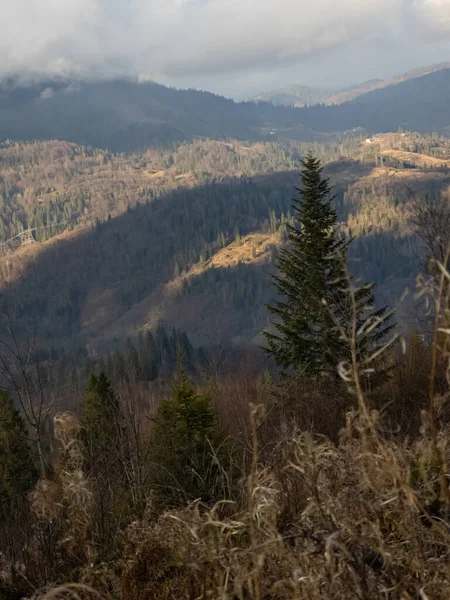 sonbahar dağ orman manzarası