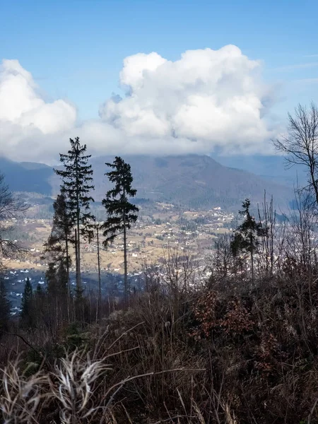 Bir ağaçla dağ manzarasının dikey görüntüsü.