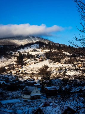 Karla kaplı ağaçlarla kaplı güzel kış manzarası