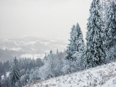 Dağlarda kış manzarası