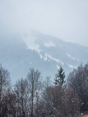 Karla kaplı ağaçlarla kaplı kış manzarası